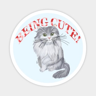 RAGAMUFFIN CAT BEING CUTE Magnet